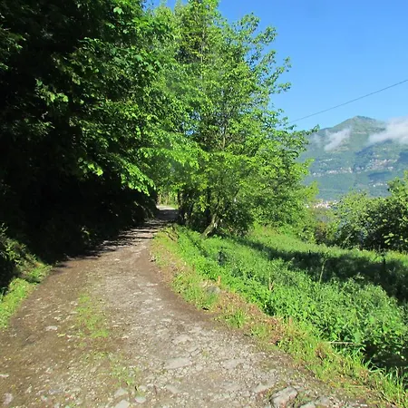 Madonna Dei Ceppi Farma
